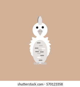 Parrot Cockatoo, Parrot bird