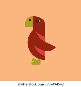 Parrot Cockatoo, Parrot bird