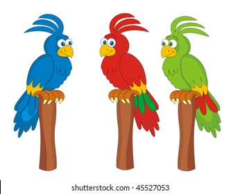Parrot cockatoo blue, red and green
