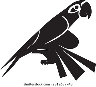 Parrot Cockatoo and parakeet logo concepts and incons