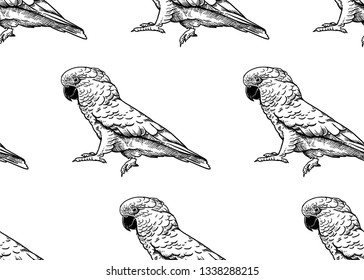 Parrot Cockatoo. Seamless pattern with birds. Black and white. Vector illustration. Template for fabrics, textiles, paper, wallpaper, summer Hawaiian shirts. Nature style. Vintage engraving.
