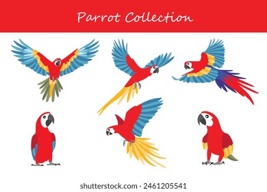 Parrot collection. Parrot in different poses. Vector illustration.