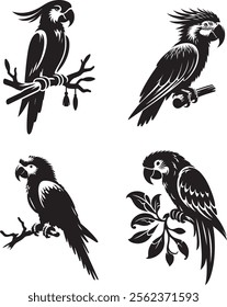 Parrot, collection of parrot silhouette vector art illustration