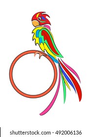 Parrot - colored illustration on a white background