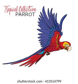 Parrot. Colored tropical bird. Vector illustration.