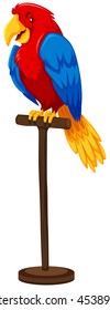 Parrot with colorful feather illustration