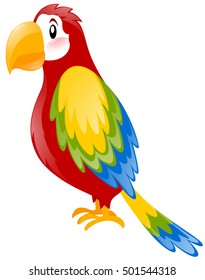 Parrot with colorful feather illustration