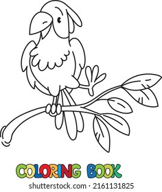 Parrot. Coloring book or coloring picture of funny parrot on the branch