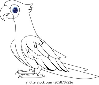 Parrot coloring page vector art and illustration