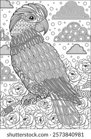 Parrot coloring pages for adult vector