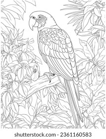 parrot coloring pages for adults