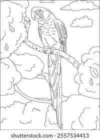 Parrot coloring pages for adults illustration