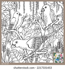 Parrot colouring page for adults, Bird line art illustration, colouring book page with beautiful vector art