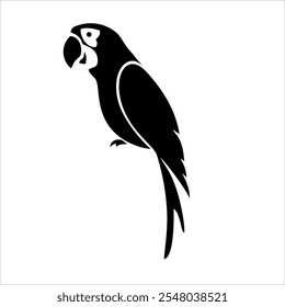 papagaio computador vetor arte gráfica