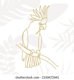 parrot continuous line drawing, sketch, on abstract background vector