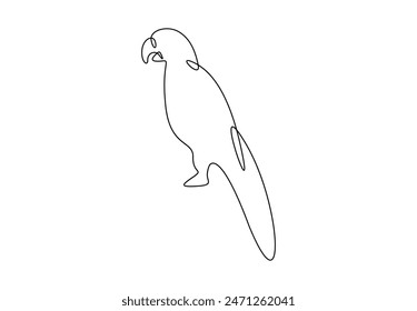 Parrot continuous one line drawing. Isolated on white background vector illustration 