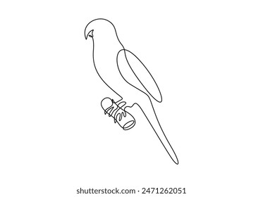 Parrot continuous one line drawing. Isolated on white background vector illustration 