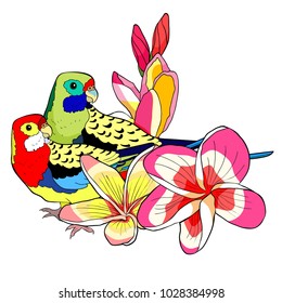 parrot couple roseella green red on plumeria flower  vector illustration