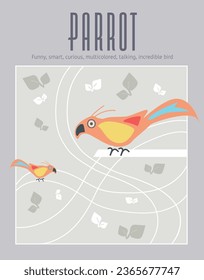 PARROT cover, book and website. Double light grey background with leaves and lines. Two multicolored parrots in front