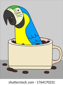 parrot in a cup of coffee with beans