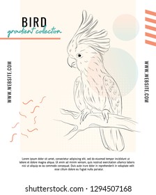 Parrot in digital jungle illustration. Vector bird line art sketch with typography and geometric elements. Contemporary template. Hand drawn animal collage