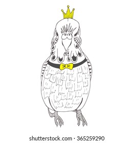 Parrot in doodle style. Vector sketch illustration.