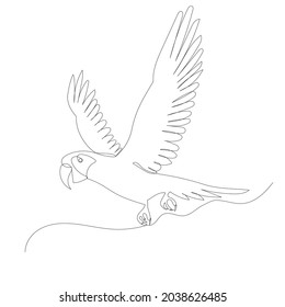 parrot drawing by one continuous line, sketch