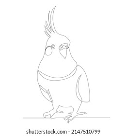 parrot drawing in one continuous line, sketch, vector