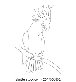 370 Parrot one line drawing Images, Stock Photos & Vectors | Shutterstock