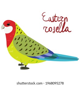 Parrot eastern rosella in cartoon style on white background. Vector hand drawn illustration. Platycercus eximius