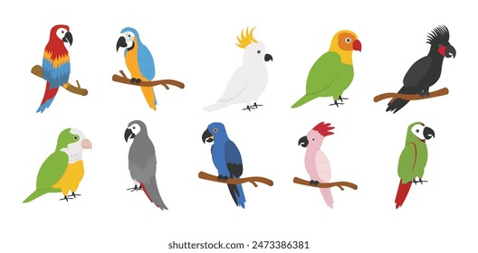 Parrot Element Illustration Kollektion Set