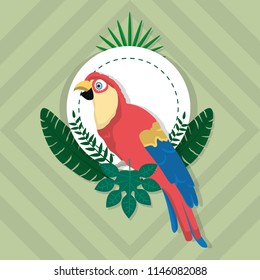 Parrot exotic bird