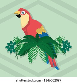 Parrot exotic bird