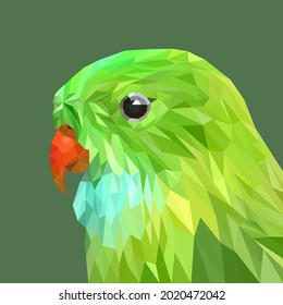 Parrot face with geometry design, low poly triangular and wire frame vector illustration EPS 10 isolated. Polygonal style trendy modern logo design. Suitable for printing on a t-shirt.