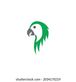 parrot film icon vector illustration template design