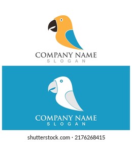 parrot film icon vector illustration template design
