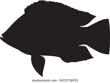 Parrot fish silhouette. Black and white silhouette. Parrot fish