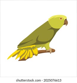 Parrot Flat Color Clip art design