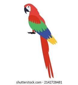 parrot flat design, isolated, vector