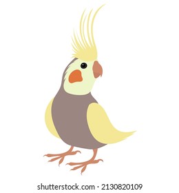 parrot, flat design on white background, isolated vector