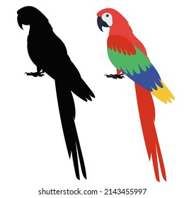 parrot flat design, silhouette, isolated, vector