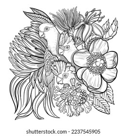 Parrot and flowers hand drawn for adult coloring book