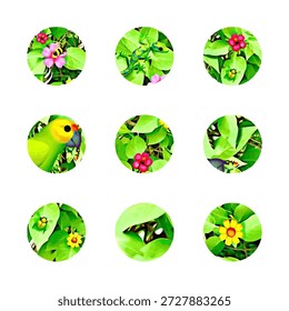 Loro, flores, lagarto, insectos en hojas verdes enmarcados en 9 círculos contra el cuadrado blanco; cartel de Vector que simboliza momentos exóticos de primavera o verano, naturaleza, plantas, vacaciones, medio ambiente, movimiento ecológico.