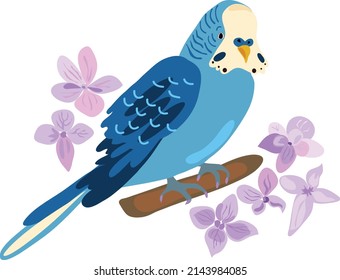  parrot and flowers  sketch, vector illustration. Hand drawn parrot bird with beautiful flowers.