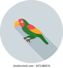 Parrot, flying, bird