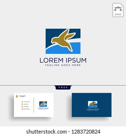 parrot or flying bird accounting, financial creative logo template