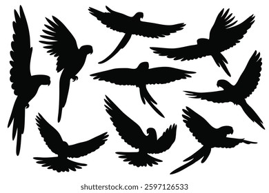 
Parrot flying silhouettes set isolated flat vector illustration on white background.