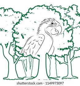 parrot in forest on white background, design for decorative icon,  Vector illustration