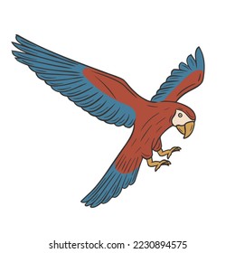 Ilustración del vector del doodle dibujado a mano de loro