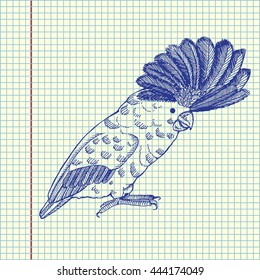 Parrot. Hand drawn vector stock illustration. Sheet ball pen drawing.